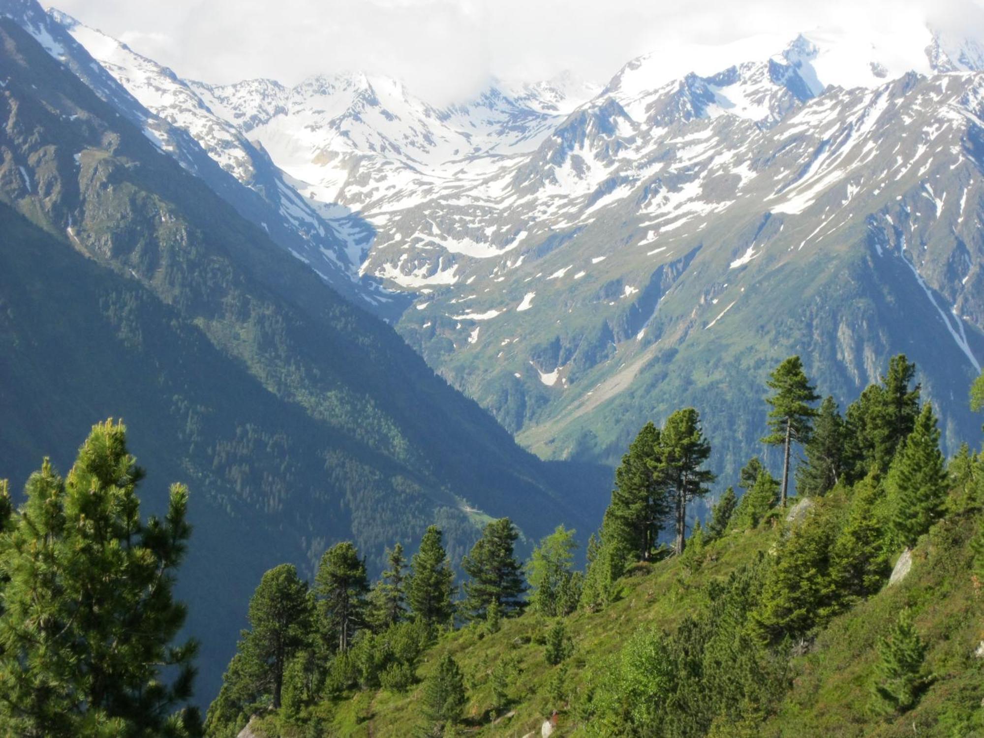 Ferienhaus Stubai Neustift im Stubaital Esterno foto