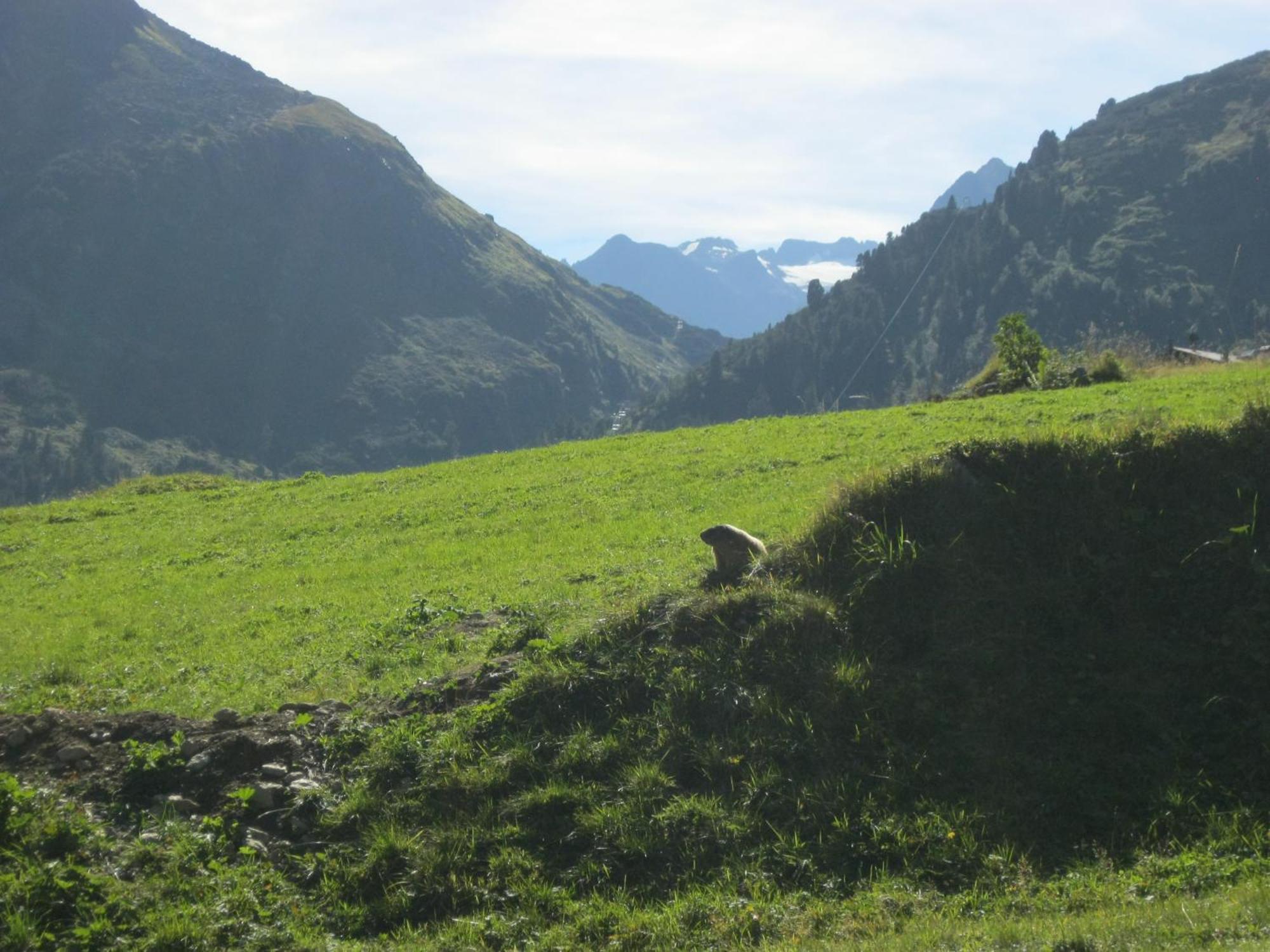 Ferienhaus Stubai Neustift im Stubaital Esterno foto